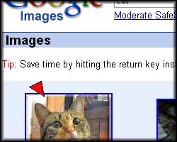 Step 2 - Click on the kitty!