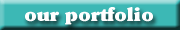 Our Portfolio